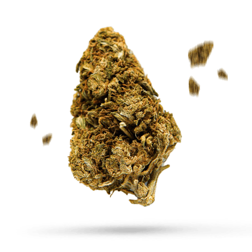 Ancient Kush - Cannabissorte