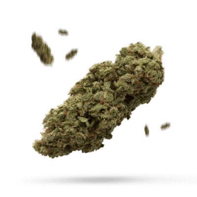 Ancient OG - Cannabissorte