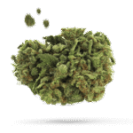 Angel OG - Cannabissorte