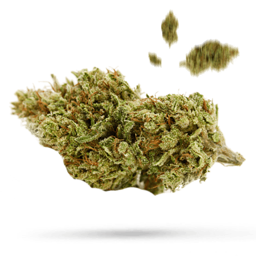 Animal Kush Mints - Cannabissorte