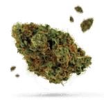 Anonymous OG - Cannabissorte