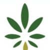 Apollo CBD Favicon