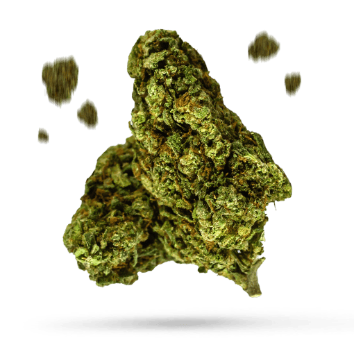 Apple Gelato - Cannabissorte