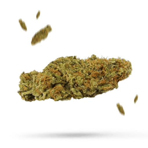 Apple Rings - Cannabissorte