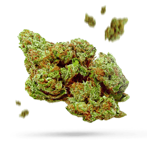 Apple Rock Candy - Cannabissorte