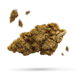 Arise - Cannabissorte