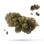 Avalon - Cannabissorte