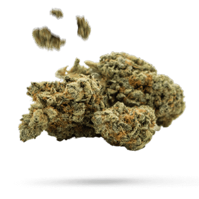 B-52 - Cannabissorte