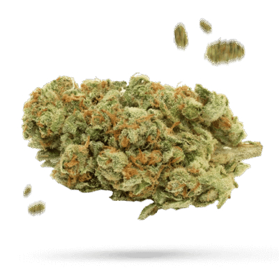 Bakers Delight - Cannabissorte
