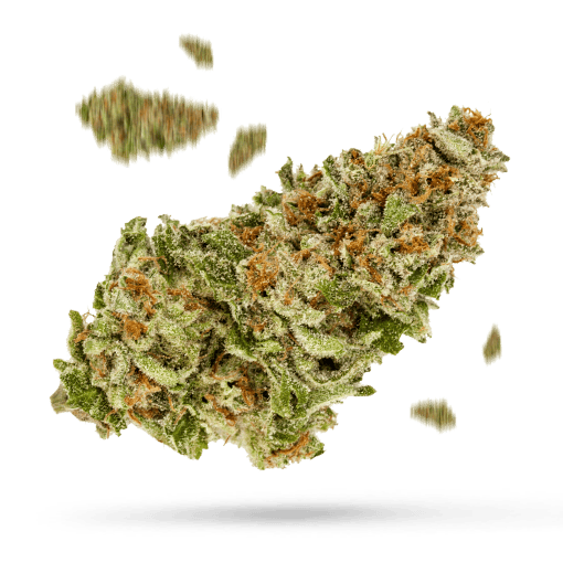 Baldor - Cannabissorte