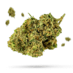 Banana Dawg - Cannabissorte