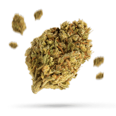 Banana Dream - Cannabissorte