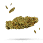 Banana Kush - Cannabissorte