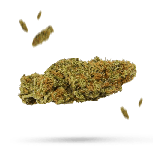 Banana Kush - Cannabissorte