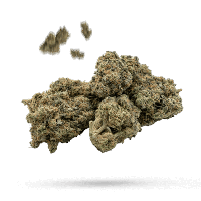 Banana Punch - Cannabissorte