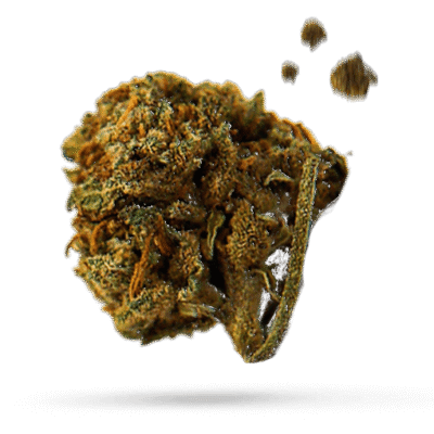 Banana Trail Mix - Cannabissorte