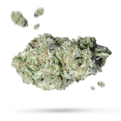 BBS - Cannabissorte