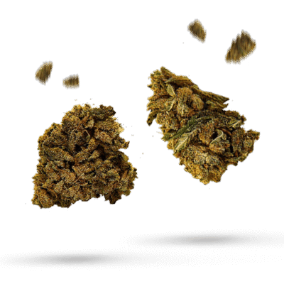 Big Smooth - Cannabissorte