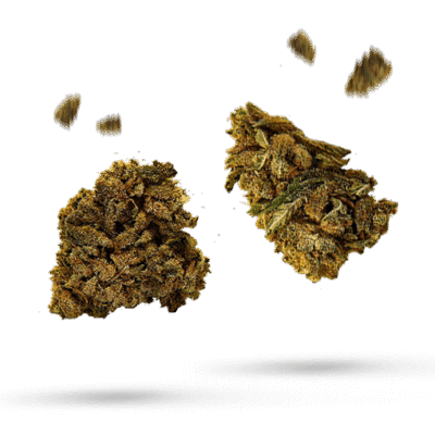 Big White - Cannabissorte