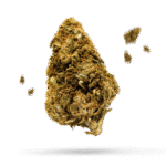 Billy Kimber - Cannabissorte