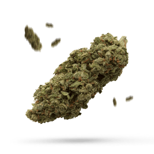 Bingo Pajamas - Cannabissorte