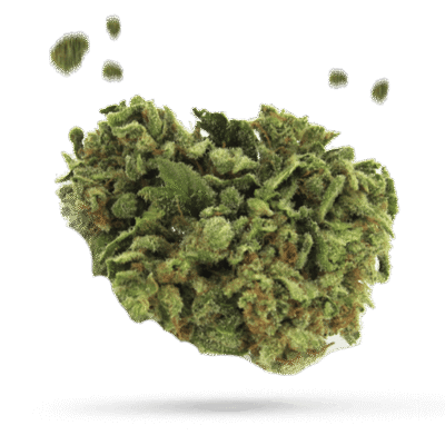 Birthday Cake - Cannabissorte