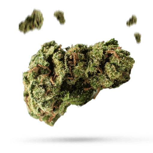 Black Ice - Cannabissorte
