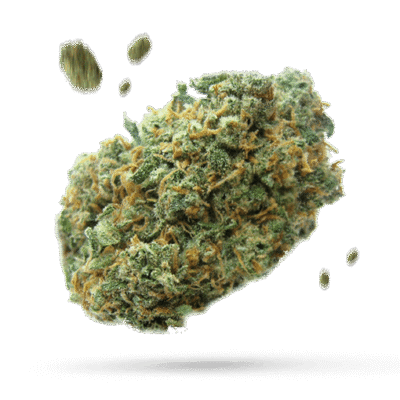 Blackberry Bubble - Cannabissorte
