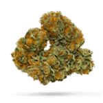 Blackberry Pie - Cannabissorte
