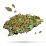 Blackberry Trainwreck - Cannabissorte