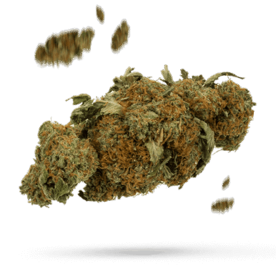 Blaze - Cannabissorte