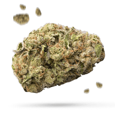 Blessings OG - Cannabissorte