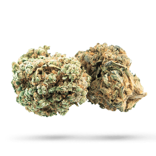 Blue Alien - Cannabissorte