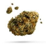 Blue Dream - Cannabissorte