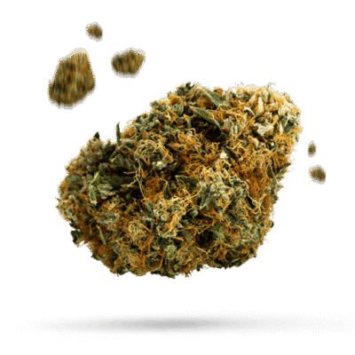 Blue Dream - Cannabissorte