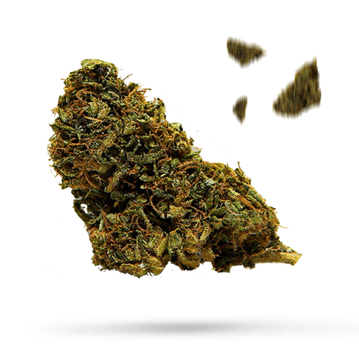 Blue God - Cannabissorte
