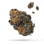 Blue Ice - Cannabissorte