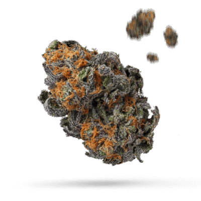 Blue Ice - Cannabissorte