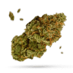 Blue Knight - Cannabissorte