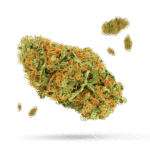 Blue Magoo - Cannabissorte