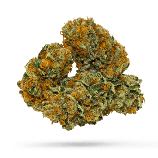 Blue Mountain Fire - Cannabissorte