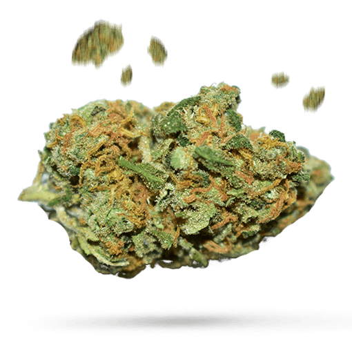 Blue Sherbert - Cannabissorte