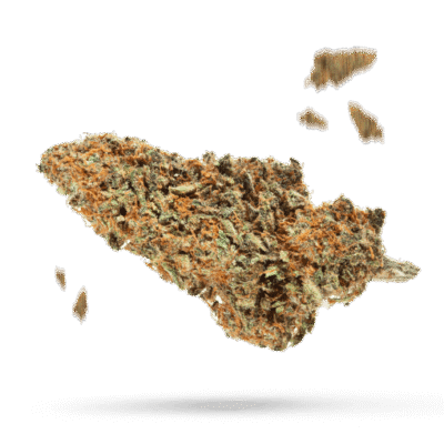 Blue Tara - Cannabissorte