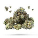 Blue Thunder - Cannabissorte