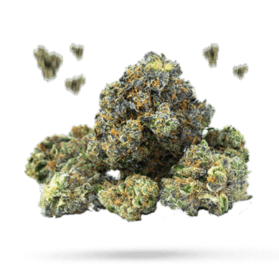 Blue Thunder - Cannabissorte