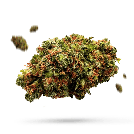 Blueberry Blast - Cannabissorte