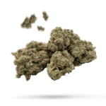 Blueberry Bubba - Cannabissorte