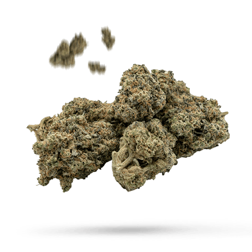 Blueberry Bubba - Cannabissorte