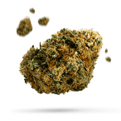 Blueberry Haze - Cannabissorte
