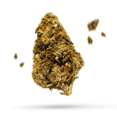 Blueberry Skunk - Cannabissorte